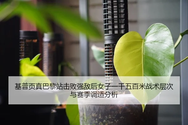 基普页真巴黎站击败强敌后女子一千五百米战术层次与赛季调适分析