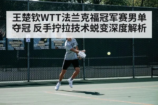 王楚钦WTT法兰克福冠军赛男单夺冠 反手拧拉技术蜕变深度解析